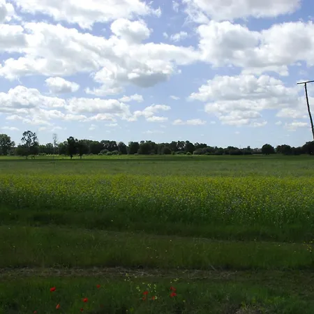 Mit Weitblick In *